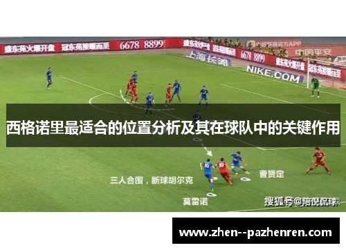 西格诺里最适合的位置分析及其在球队中的关键作用